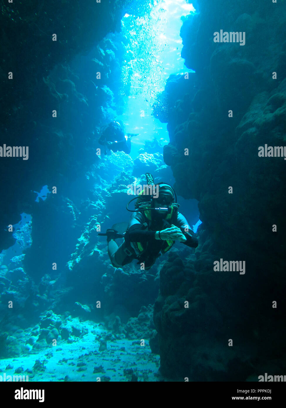 Plongeur, St. John's Reef, Egypte Banque D'Images