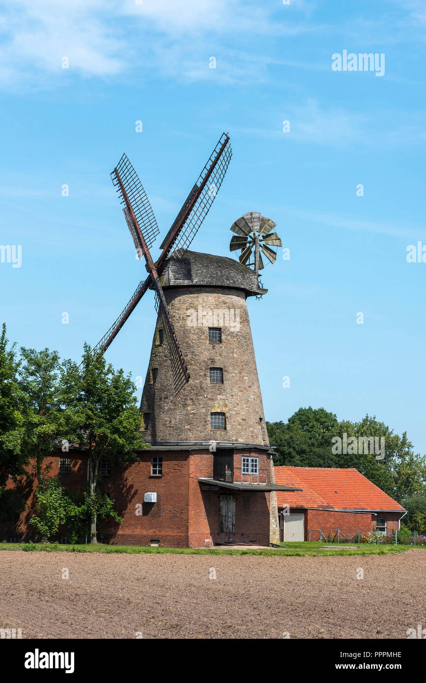 Moulin à vent, Werder, Minden-Luebbecke, East Est-lippe, Rhénanie du Nord-Westphalie, Allemagne Banque D'Images