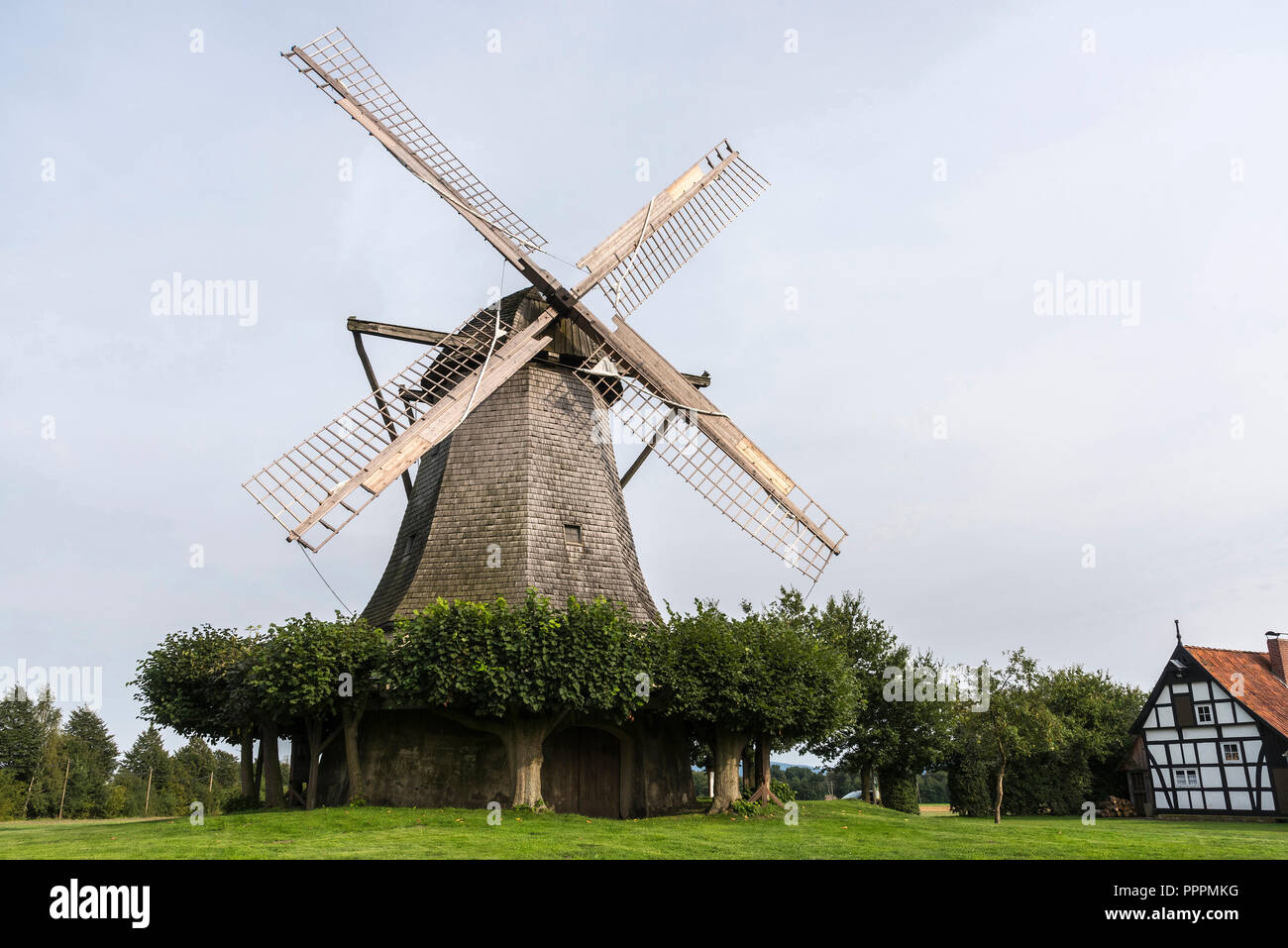 Moulin à vent, du Destel, Lommel, Minden-Luebbecke, East Est-lippe, Rhénanie du Nord-Westphalie, Allemagne Banque D'Images