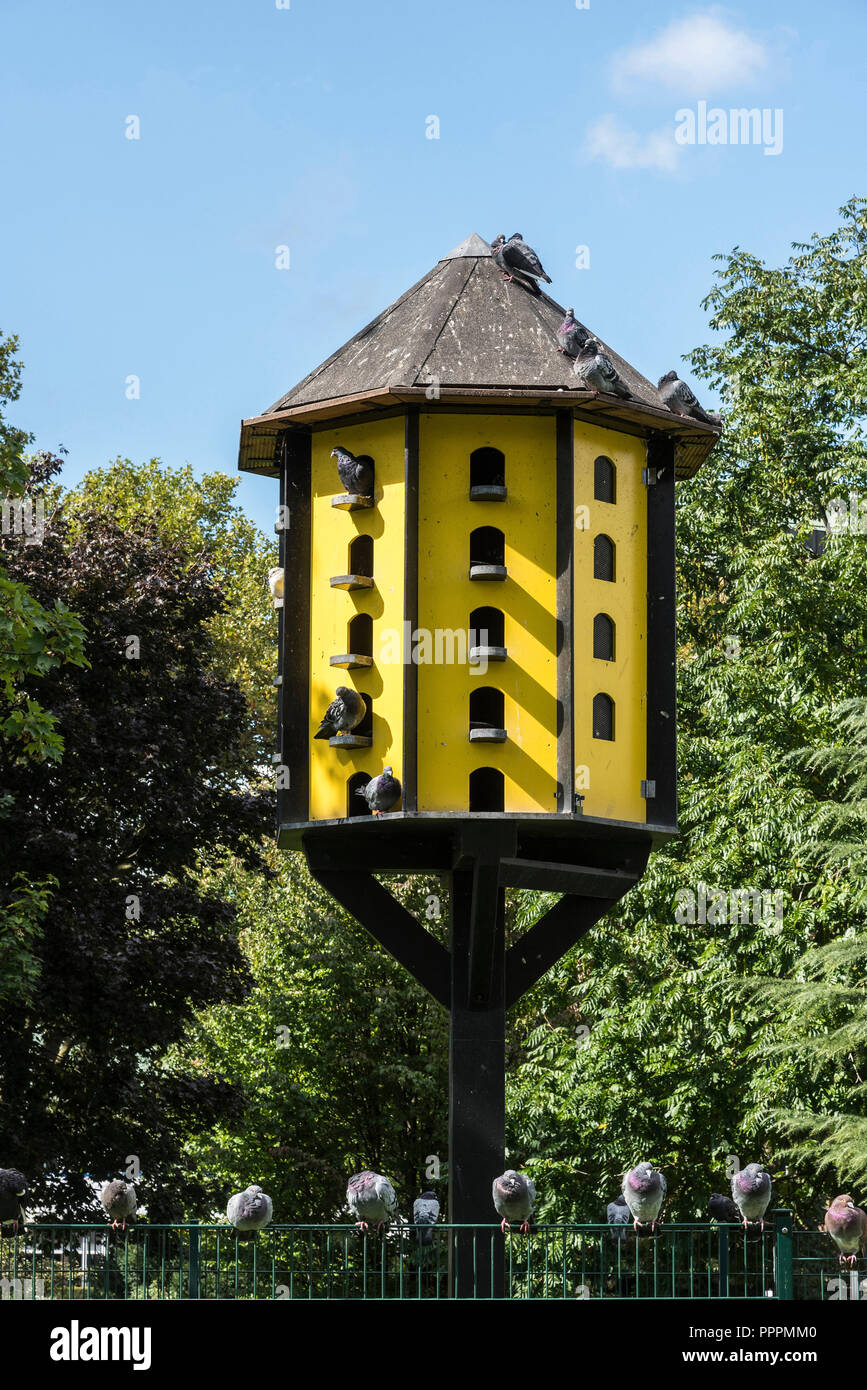 Pigeonnier, stadtgarten, Dortmund, Ruhr, Rhénanie du Nord-Westphalie, Allemagne Banque D'Images