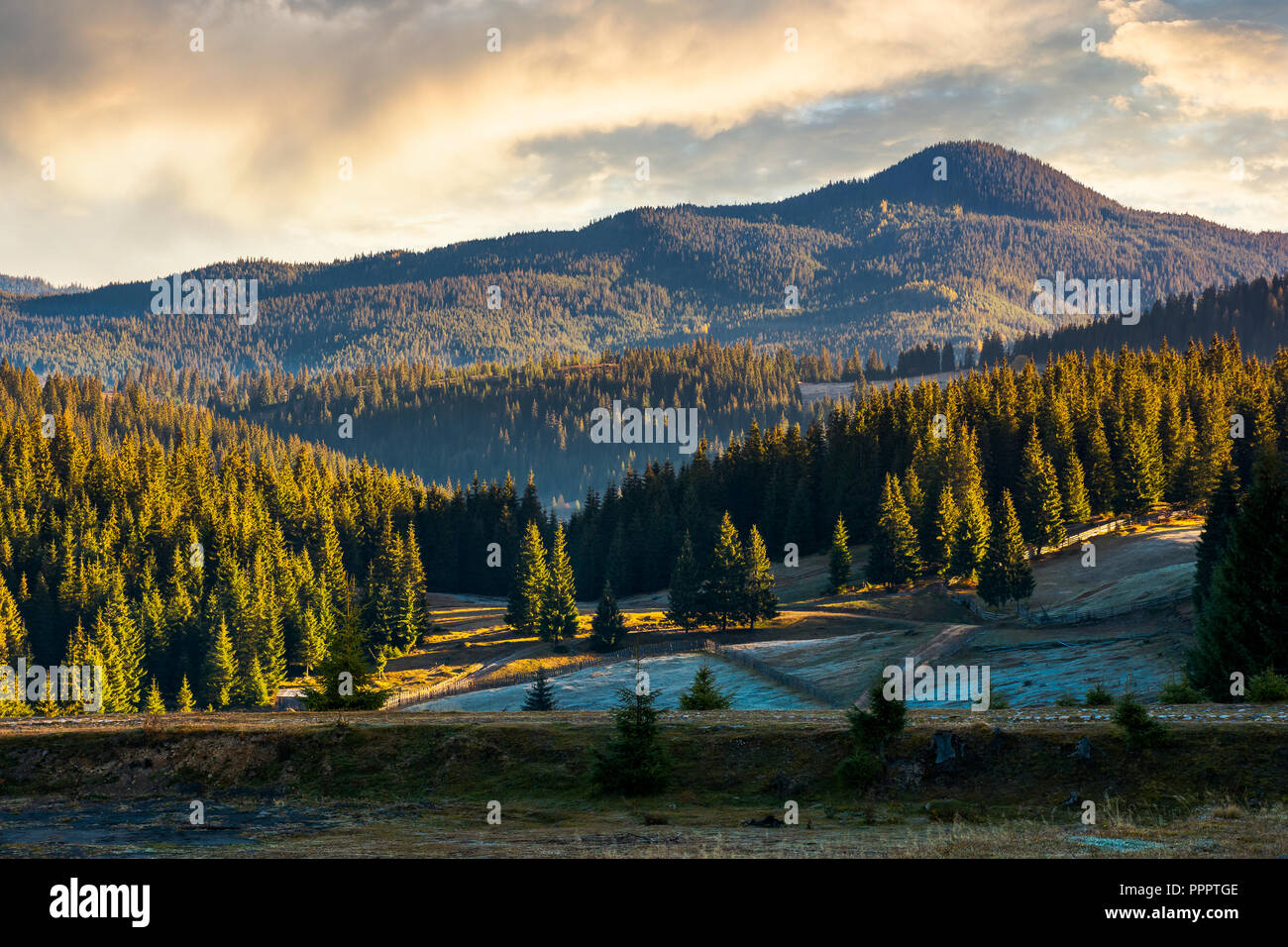 Belle scène dans les montagnes au lever du soleil. colline boisée éclairée par soleil levant. superbe au-dessus de la montagne lointaine cloudscape Banque D'Images