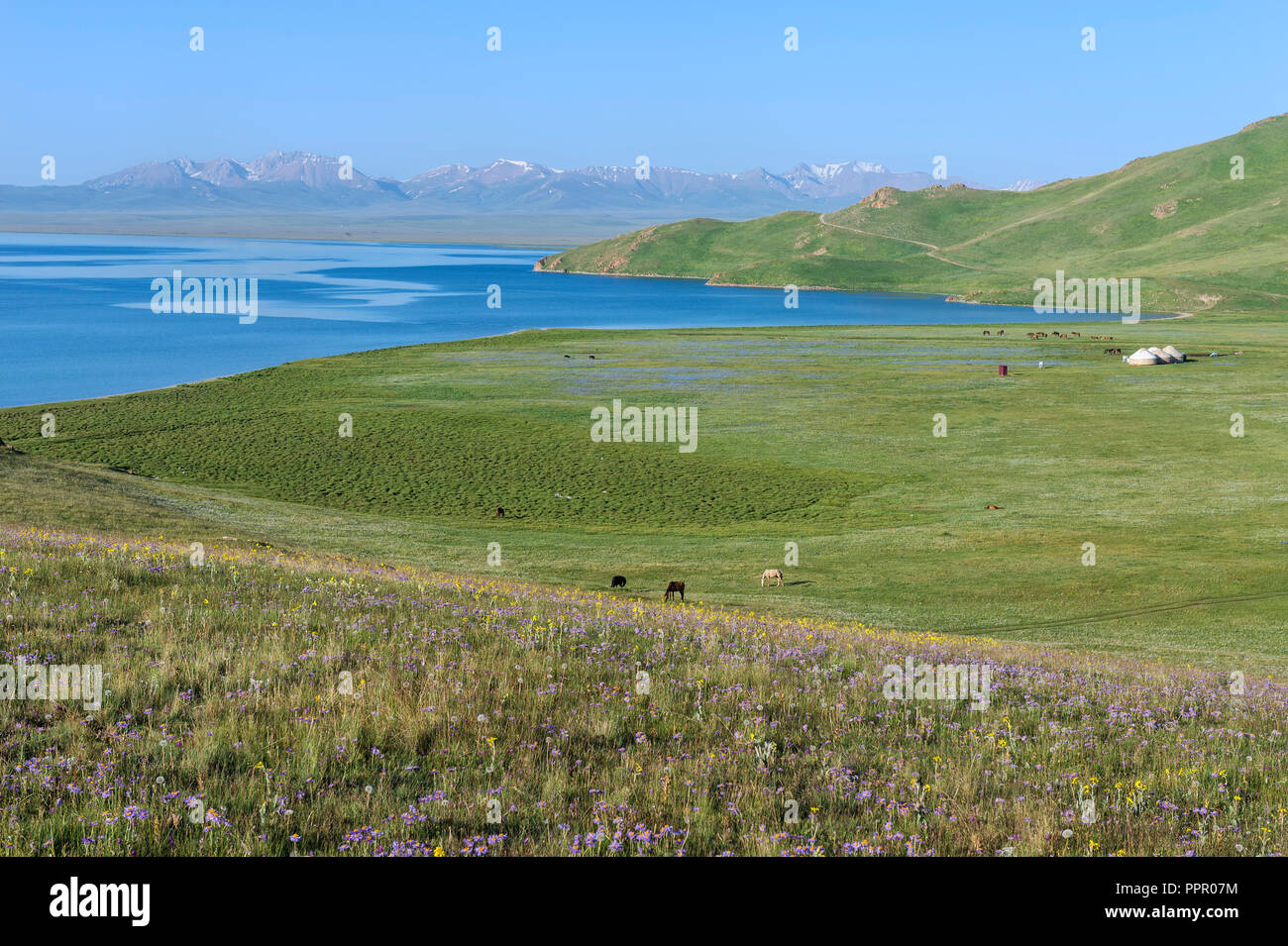 Chanson du lac Kol, province de Naryn, du Kirghizistan, de l'Asie centrale Banque D'Images