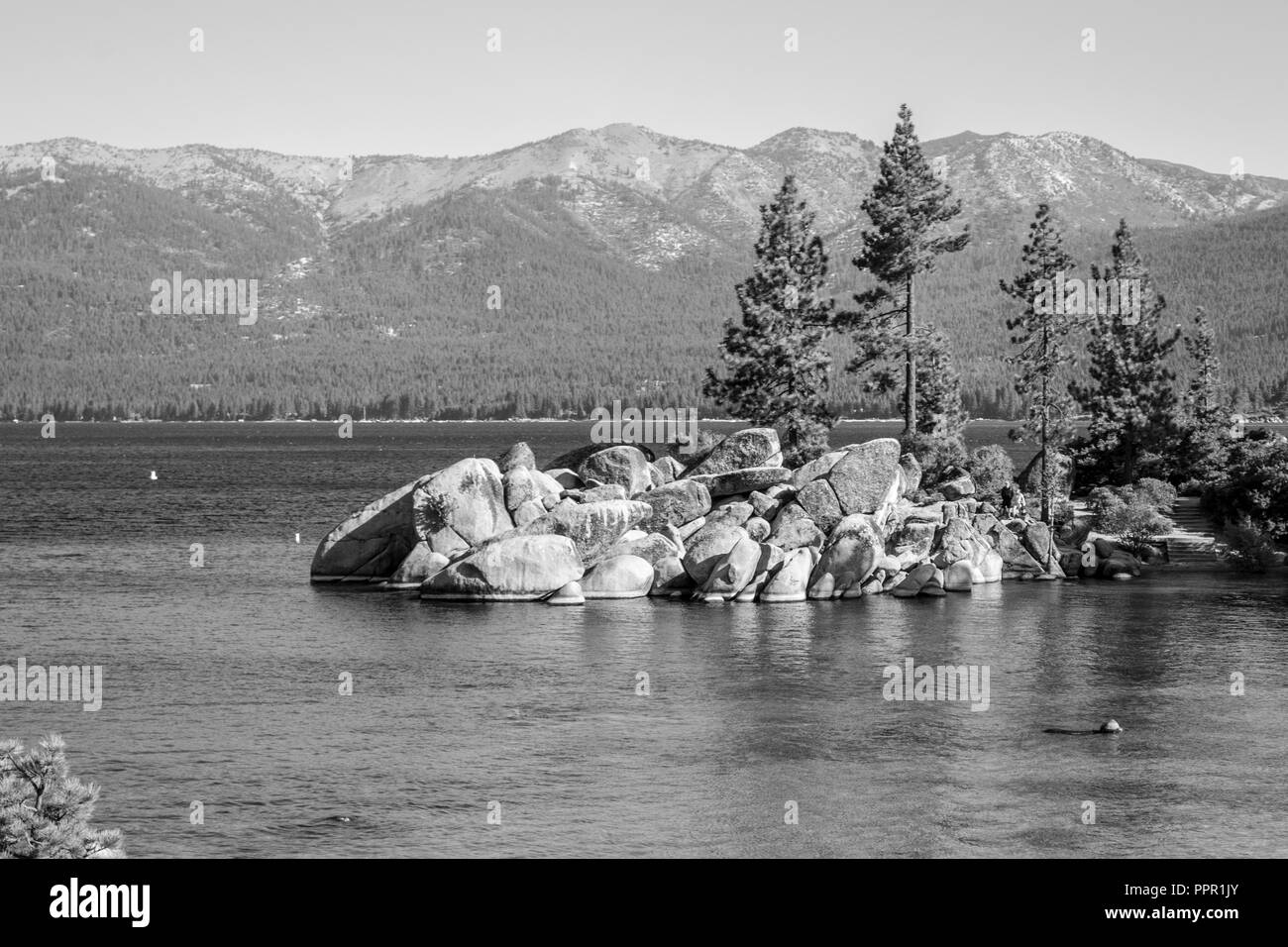 Le Lac Tahoe est un lac alpin situé dans la Sierra Nevada Banque D'Images