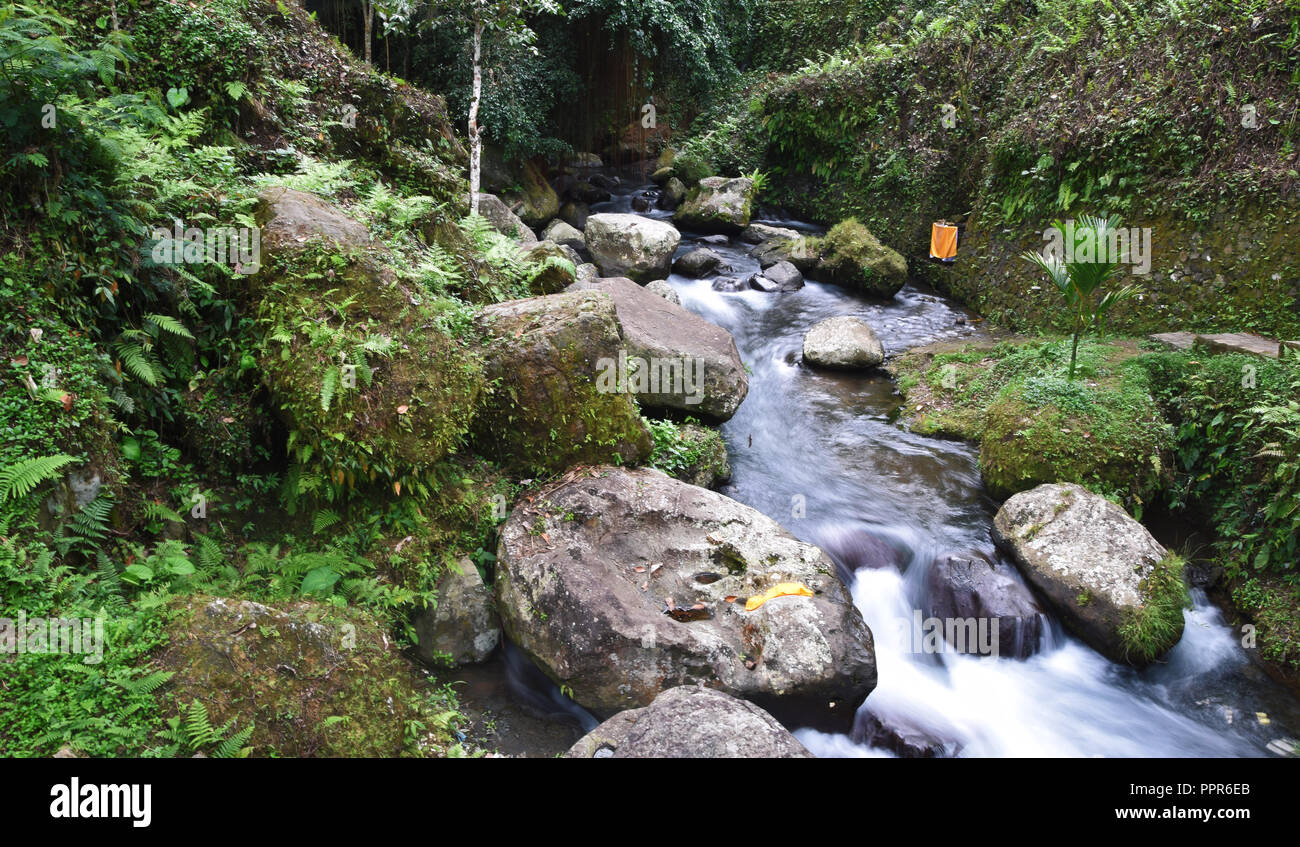 Affluent de l'Tegenungan waterfall Banque D'Images