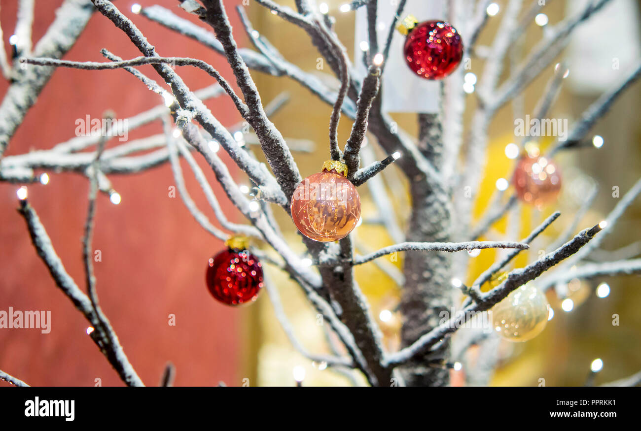 Hiver arbre sans feuilles couvertes de neige décorées de petites boules rouges décoratifs close-up. Paysage d'hiver Noël Nouvel an arrière-plan. Concept Banque D'Images