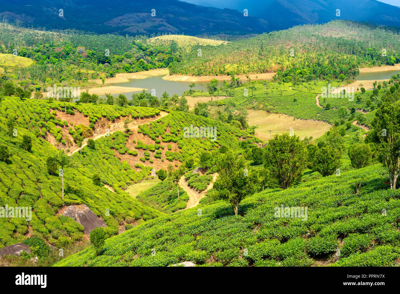 Belle vue de l'Inde avec les plantations de thé vert, de la rivière, les collines et montagnes, Kerala, Munnar Banque D'Images