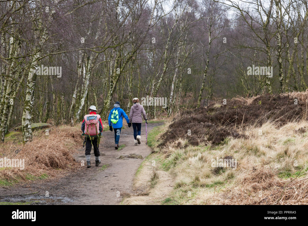 Les promeneurs en hiver randonnée par la forêt sur le bord Froggatt, Peak District, Derbyshire, Angleterre, RU Banque D'Images