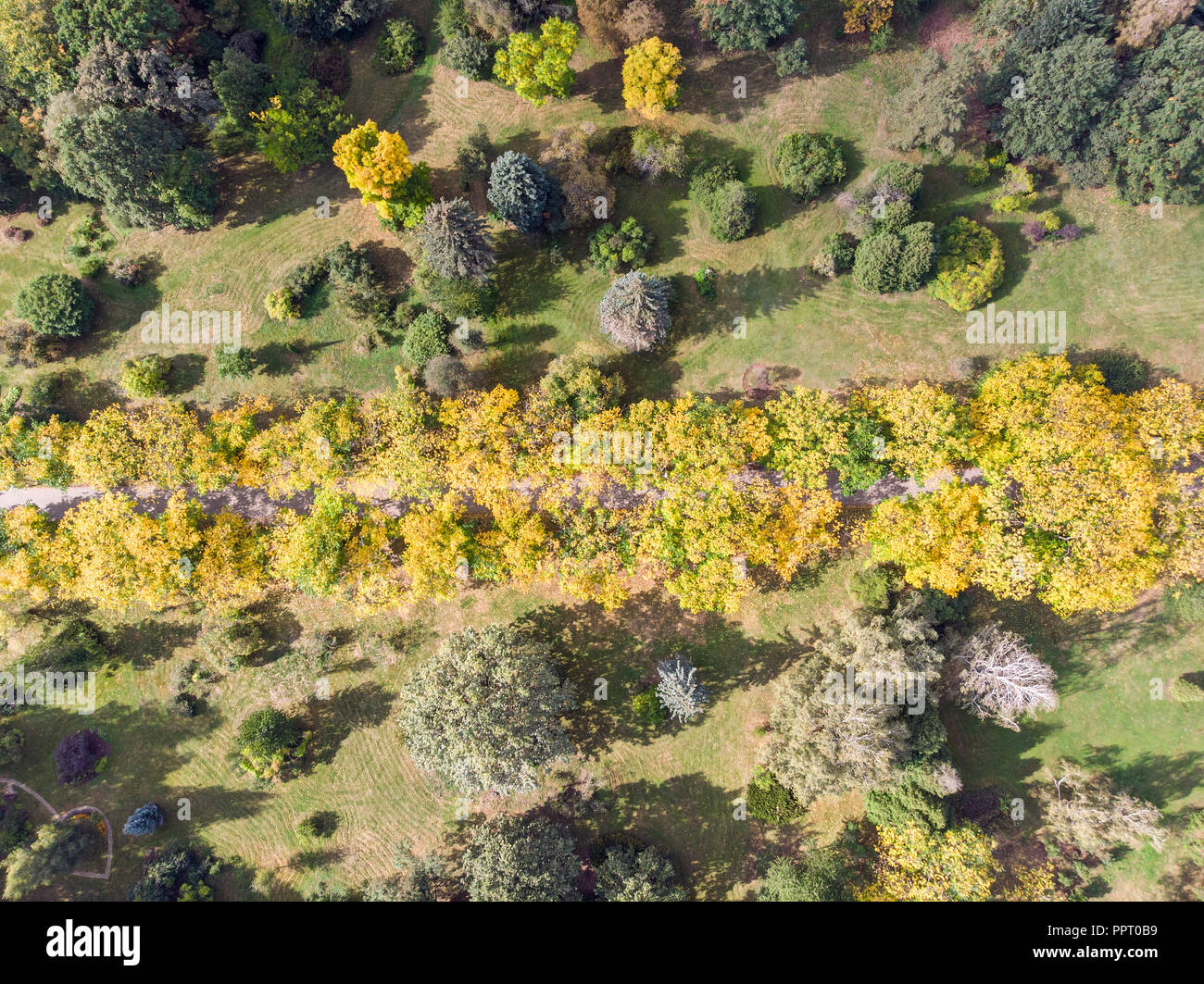 Vue de dessus de l'antenne d'arbres et sentier pédestre du parc en automne la nature de fond coloré. Banque D'Images