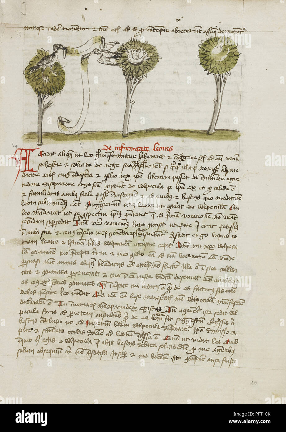 Un Autour des palombes dans un arbre et d'un rossignol s'envoler de son nid ; Trier, probablement, de l'Allemagne ; troisième trimestre de 15e siècle ; Pen Banque D'Images