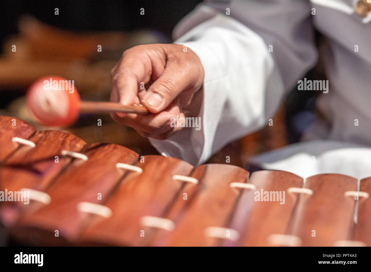 Un homme joue le Roneat Aek (bambou / xylophone en bois) à un festival du Nouvel An cambodgien en Virginie Banque D'Images