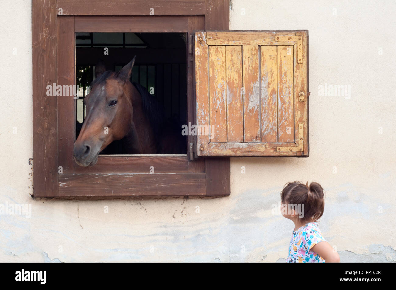 Girl Looking at Horse Banque D'Images