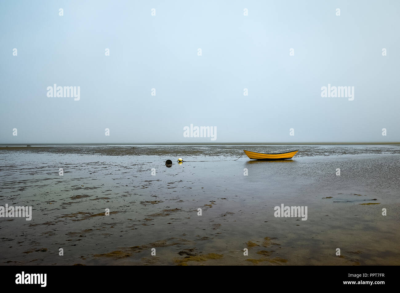 Lone dory sur un matin couvert, Brewster, Cape Cod, Massachusetts, USA. Banque D'Images