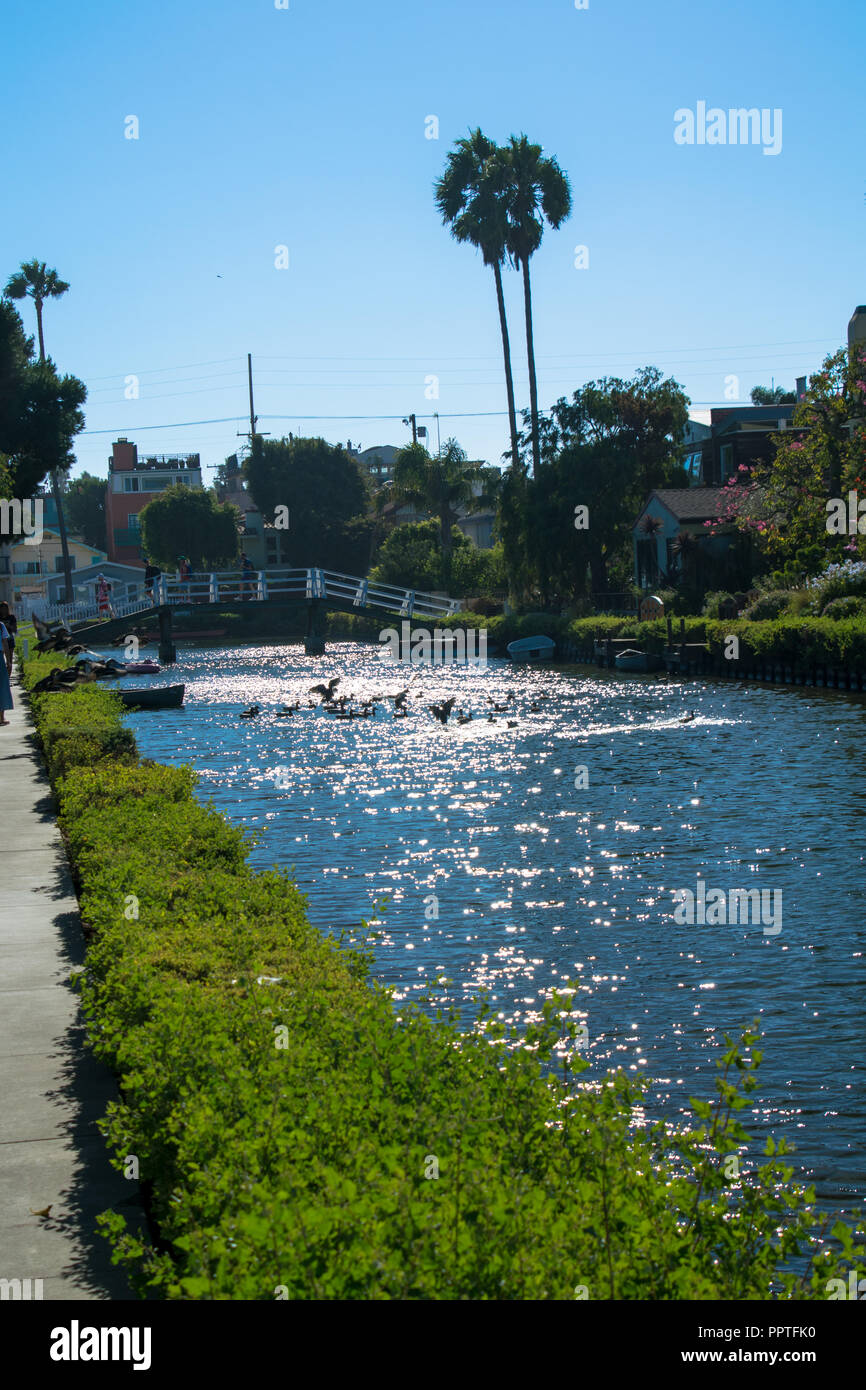 Les canaux, les ponts, et des maisons de la ville de Venice, Californie Banque D'Images