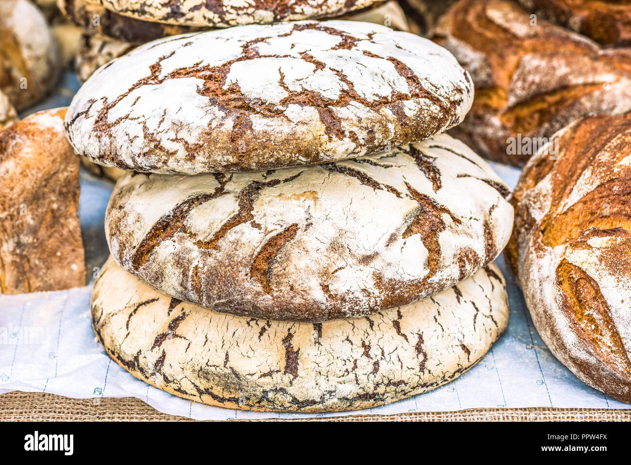 Une composition de différents produits pain de différentes variétés de blé. Variétés de pain - seigle, blanc, noir, miche, bun. Banque D'Images