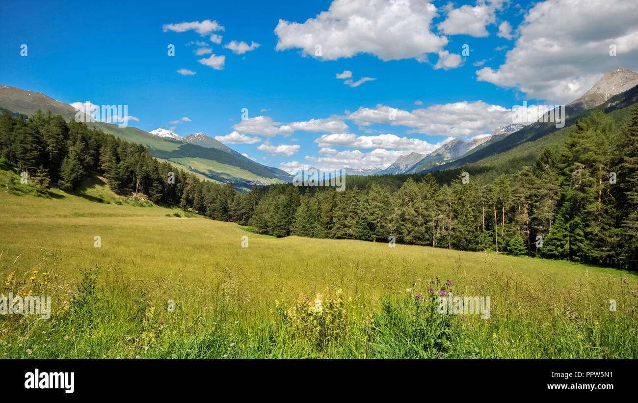 Montagnes entourant Tarasp, un village dans le canton des Grisons, Suisse. Il est situé dans la Basse Engadine valley le long de la rivière Inn Banque D'Images