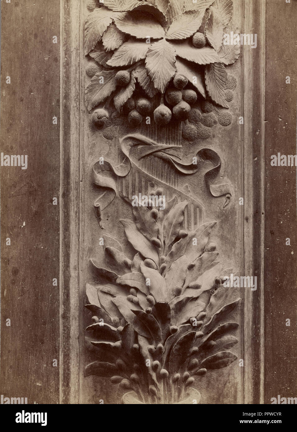 Sculpture relief de feuilles ; italien ; 1865 - 1885 ; à l'albumine argentique Banque D'Images