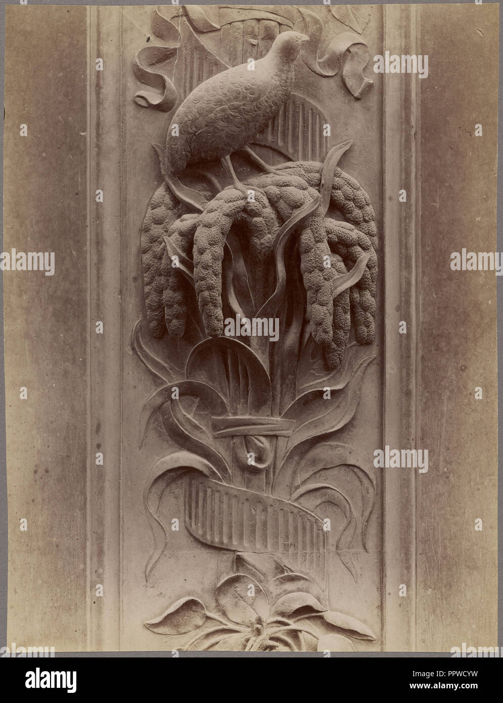 Sculpture de secours d'oiseau ; italien ; 1865 - 1885 ; à l'albumine argentique Banque D'Images