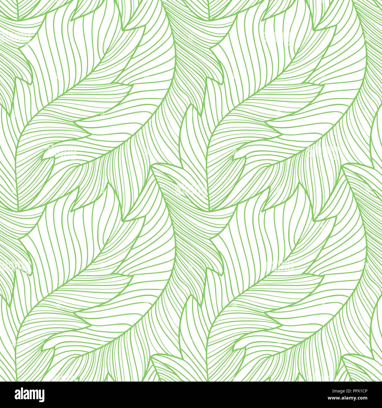 Feuilles de bananier gravure linéaire modèle transparent, motif floral de répétition Illustration de Vecteur
