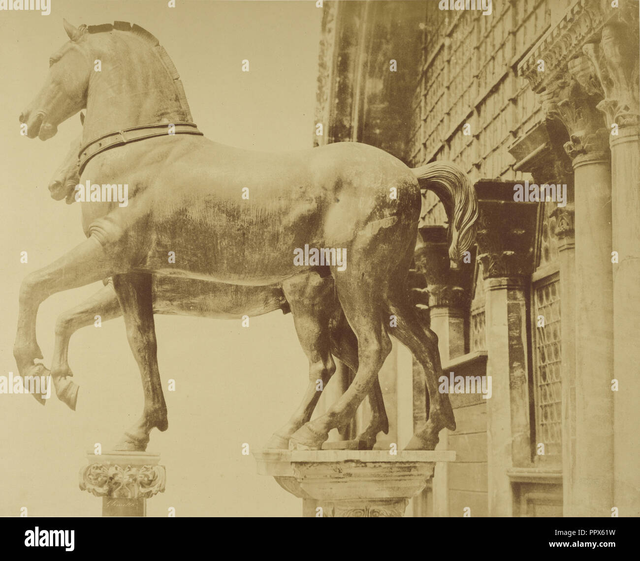 Statues de chevaux ; Glimette français, actif, 19e siècle, Londres, Angleterre ; vers 1855 - 1895, à l'albumine argentique Banque D'Images