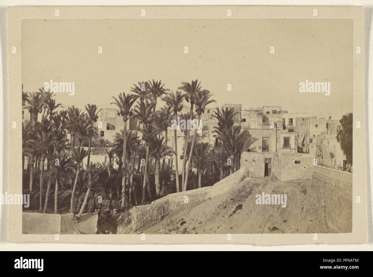 Elche, la ville des palmiers - dernier pied des Maures en Espagne ; J. Boilève y Cia ; 8 avril 1867, à l'albumine argentique Banque D'Images