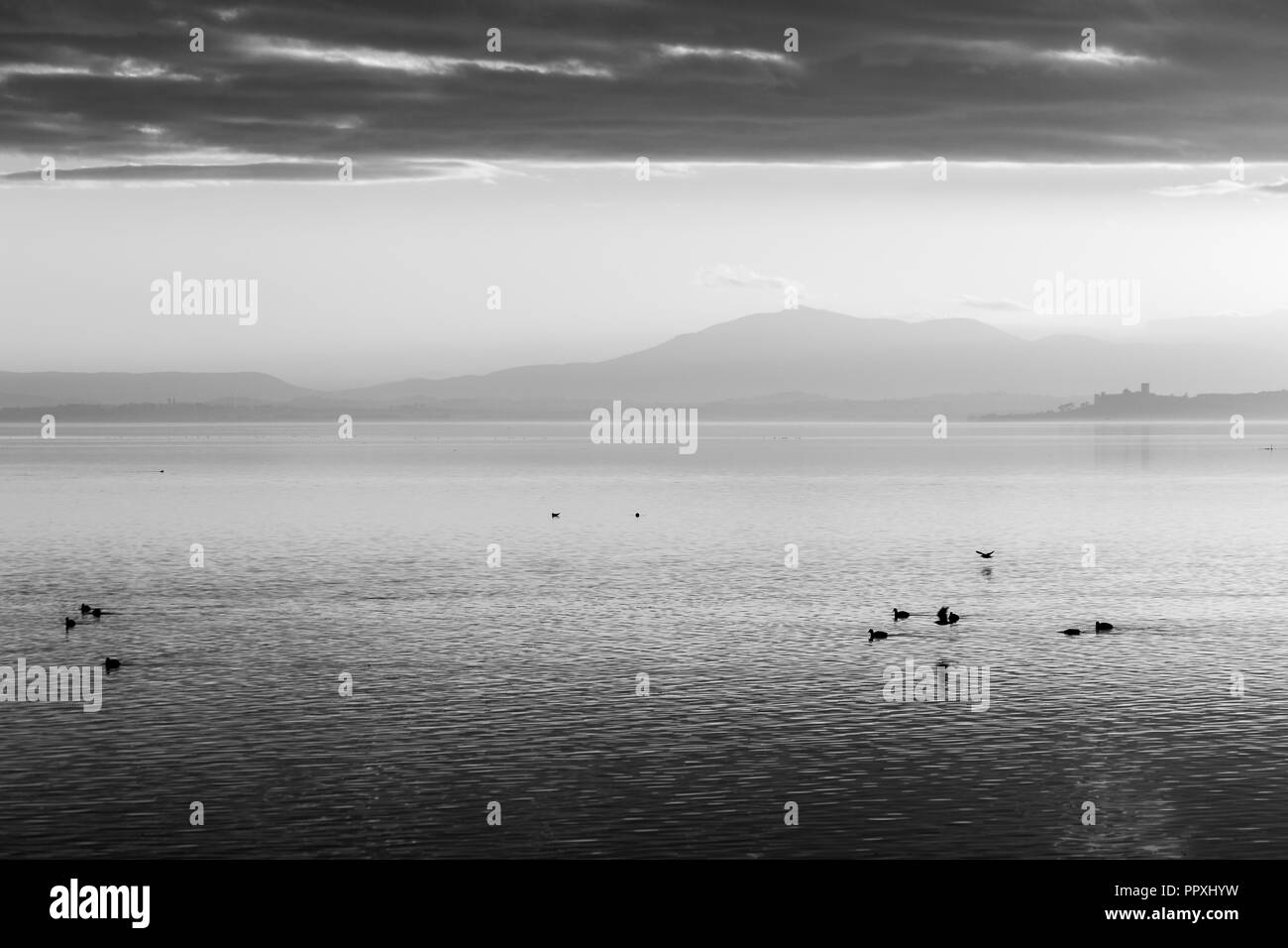 Belle vue sur le lac Trasimène au coucher du soleil avec des oiseaux sur l'eau et Castiglione del Lago en arrière-plan Banque D'Images