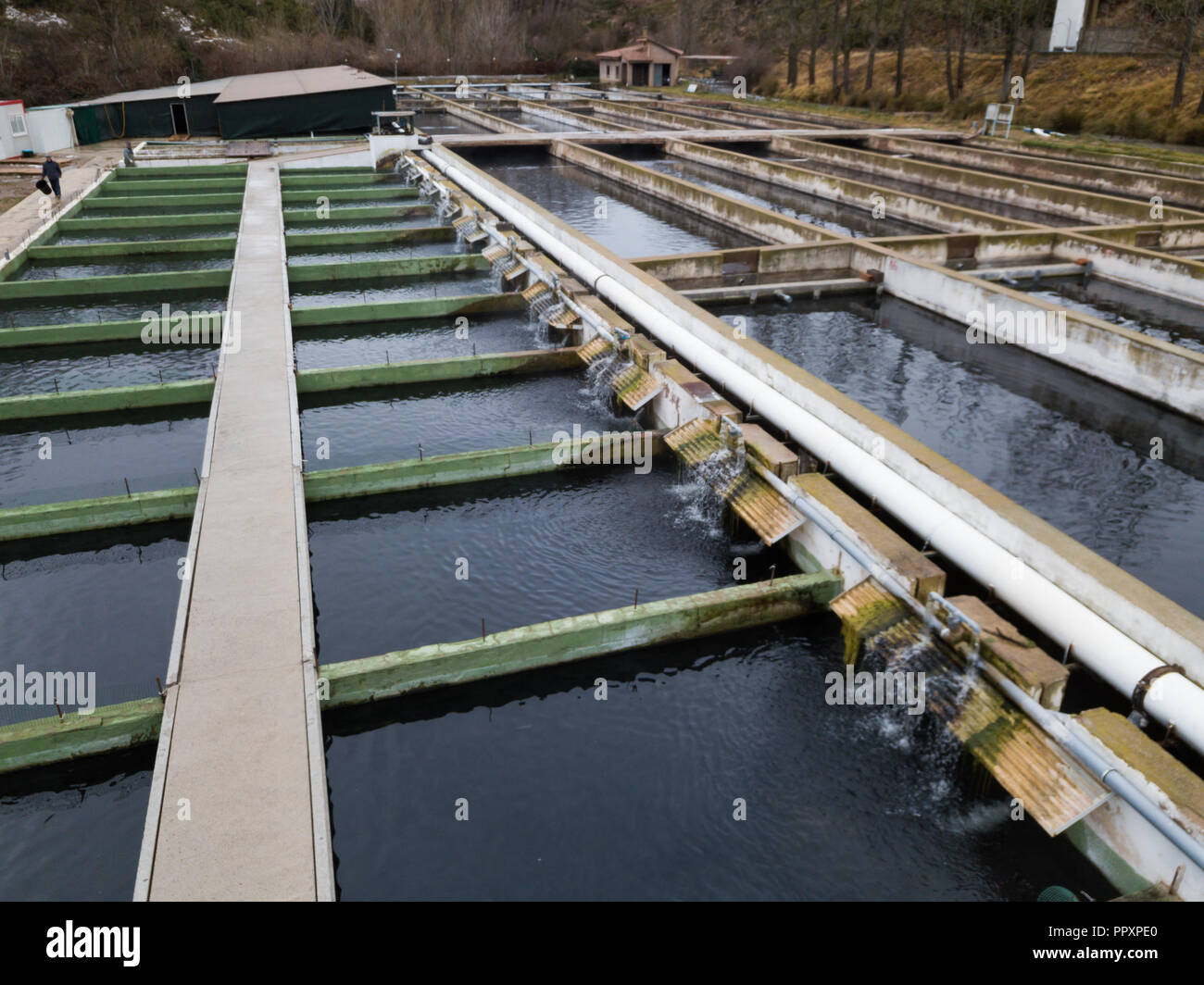 L'extérieur des réservoirs de ferme pour l'élevage industriel du poisson esturgeon Banque D'Images