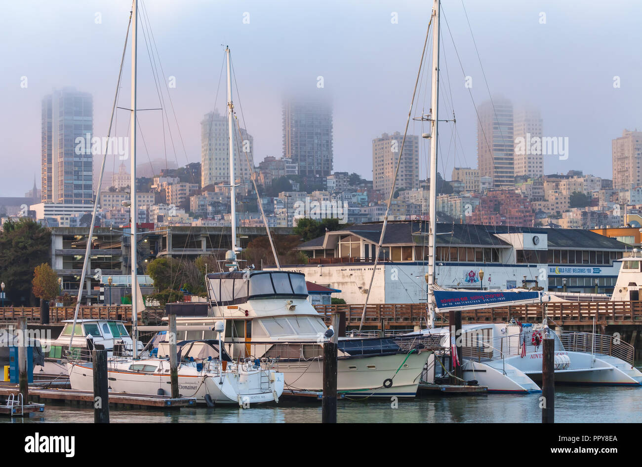 Voiliers de plaisance à quai au quai 39, avec la ville des tours en arrière-plan, San Francisco, Californie, États-Unis, à l'aube. Banque D'Images
