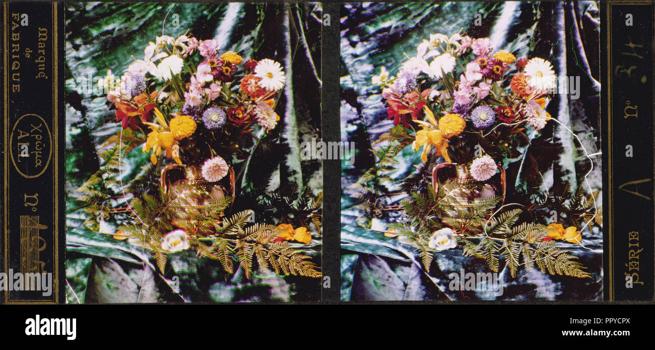 La vie encore de fleurs et de fougères ; Frères Lumière ; 1907 ; All-Chroma ; autochrome 7 x 6,7 cm 2 x 3,4 2 5,8 dans Banque D'Images
