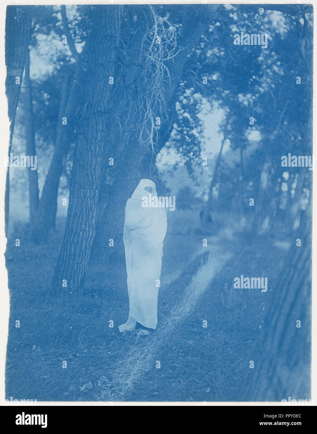 En attente dans la forêt - Cheyenne ; Edward S. Curtis, américain, 1868 - 1952, 1910 ; Cyanotype ; 19,9 x 15,4 cm 7 7,8 x 1,16 6 en Banque D'Images