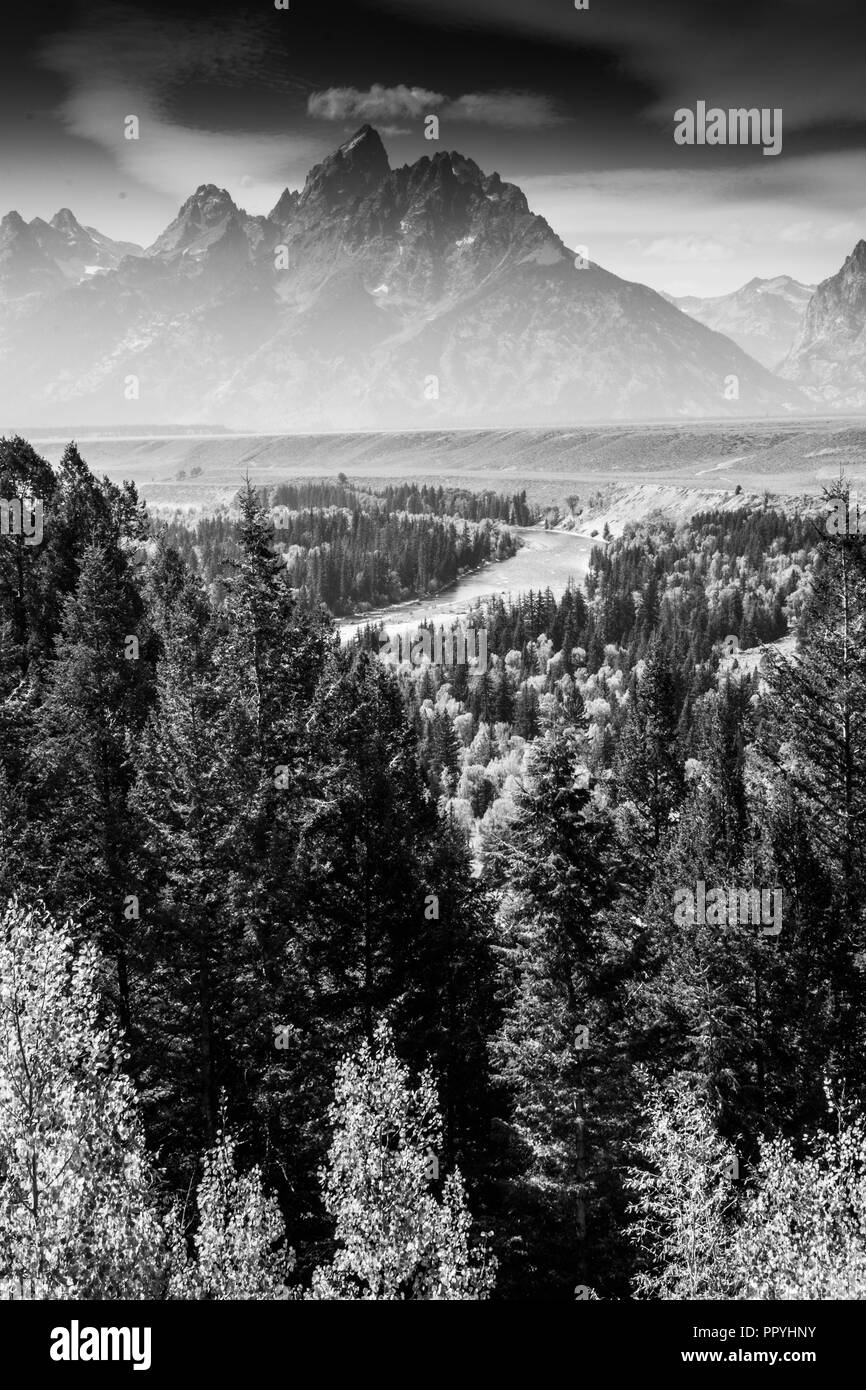 Donnent sur la rivière Snake dans le Wyoming, l'orignal Grand Tetons National Park Banque D'Images