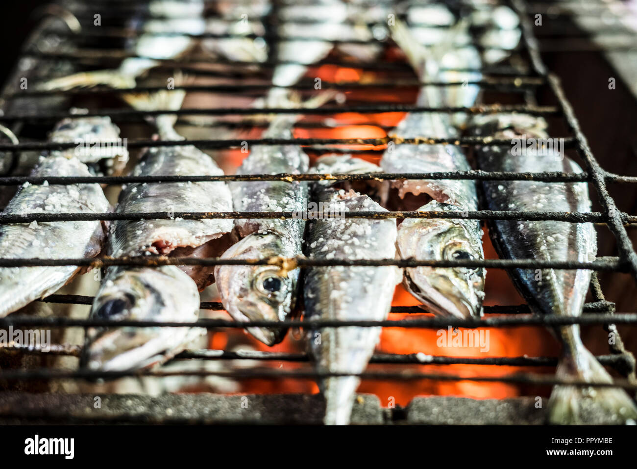 L'abondance de maquereaux et de sardines grillées sur charbon de bois sur le barbecue dans le restaurant Banque D'Images