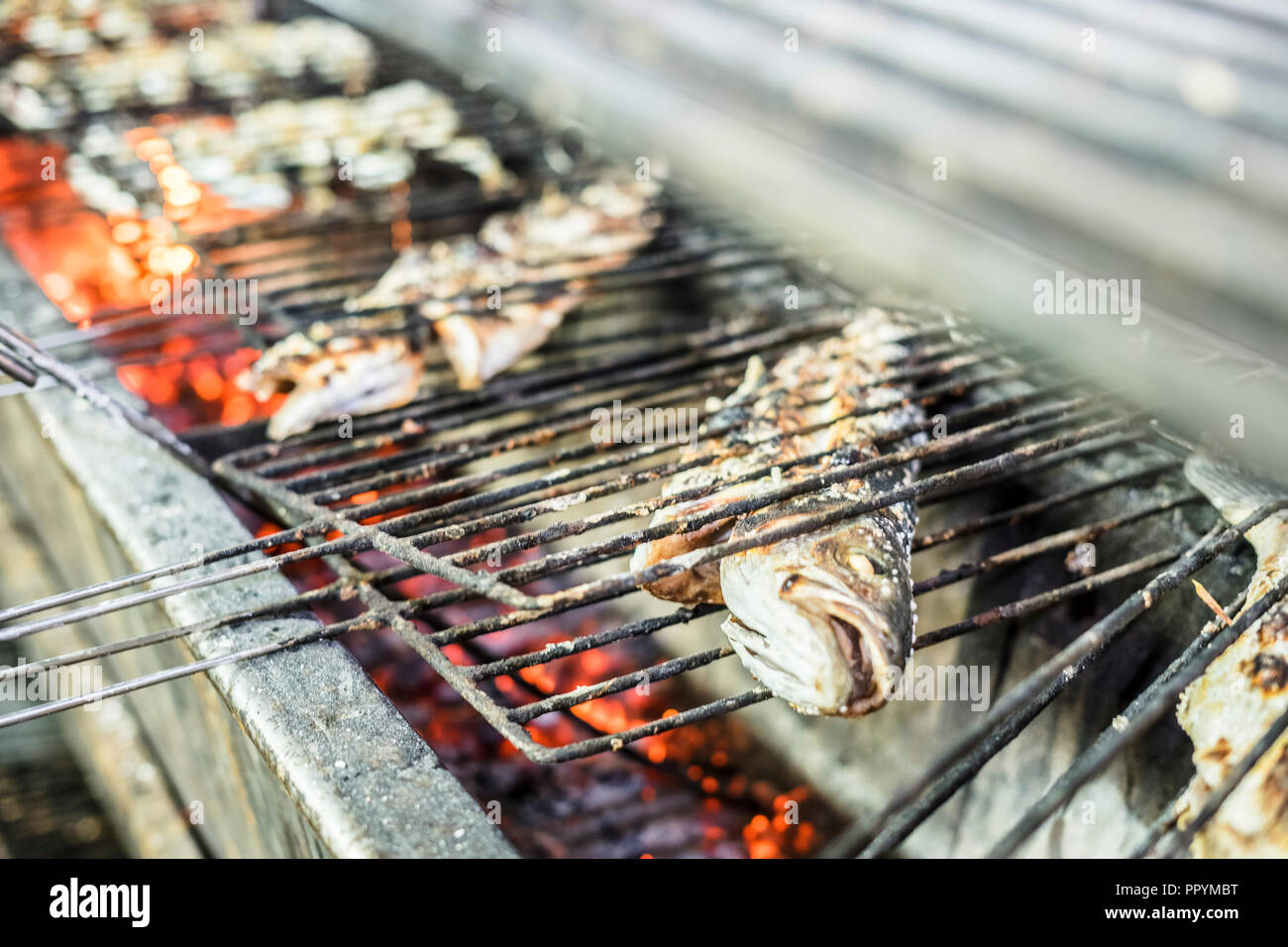 Big golden poissons grillés sur le charbon sur le barbecue dans le restaurant Banque D'Images