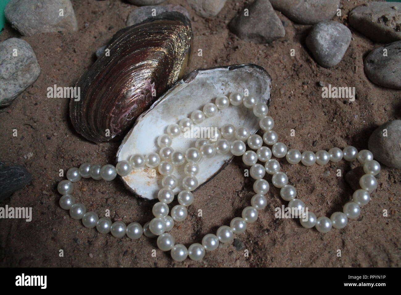 White Pearl shine en perles de coquillages jeter sur sable mer souvenir d'été, week-end sur mer Banque D'Images
