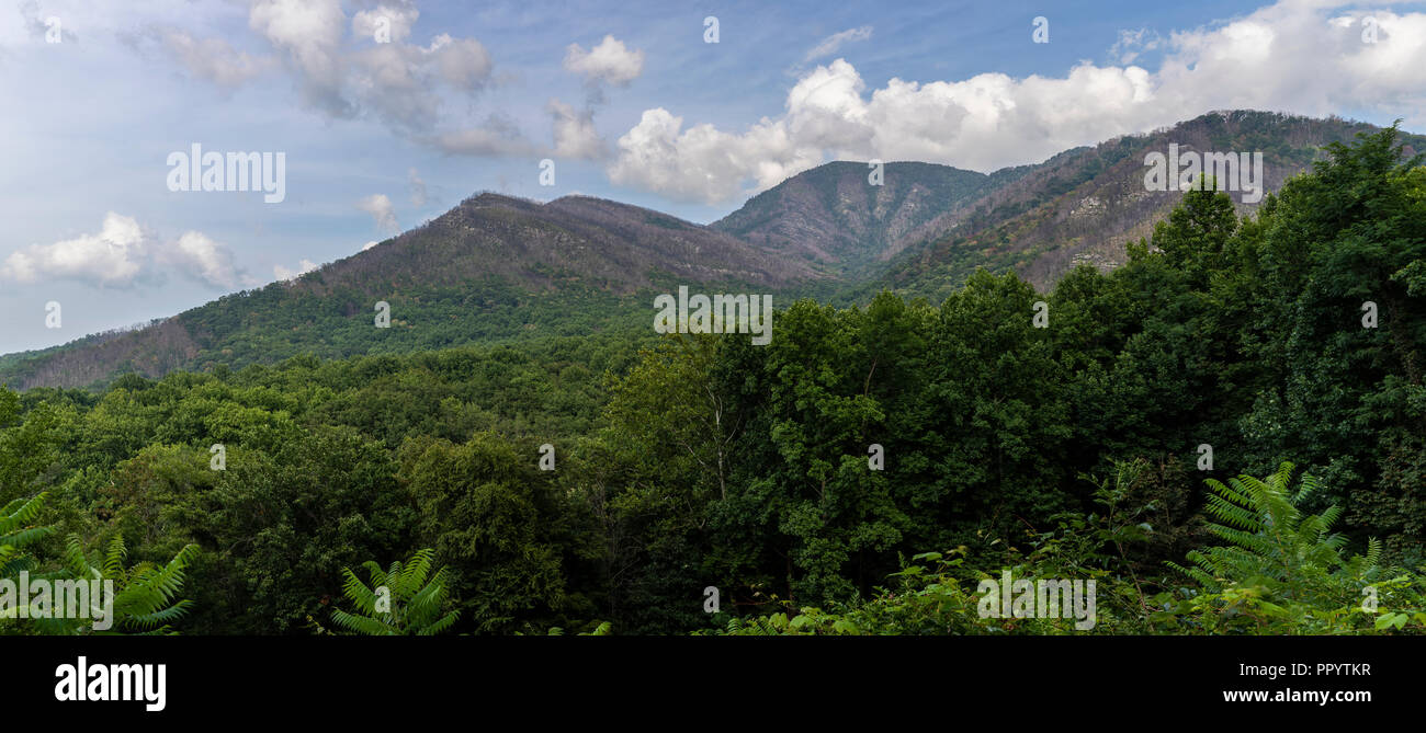 Smoky Mountains Scenic Landscape Banque D'Images