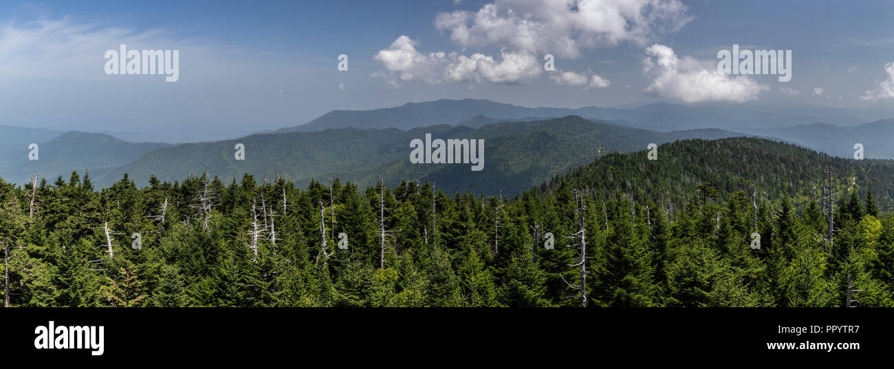 Smoky Mountains Scenic Landscape Banque D'Images