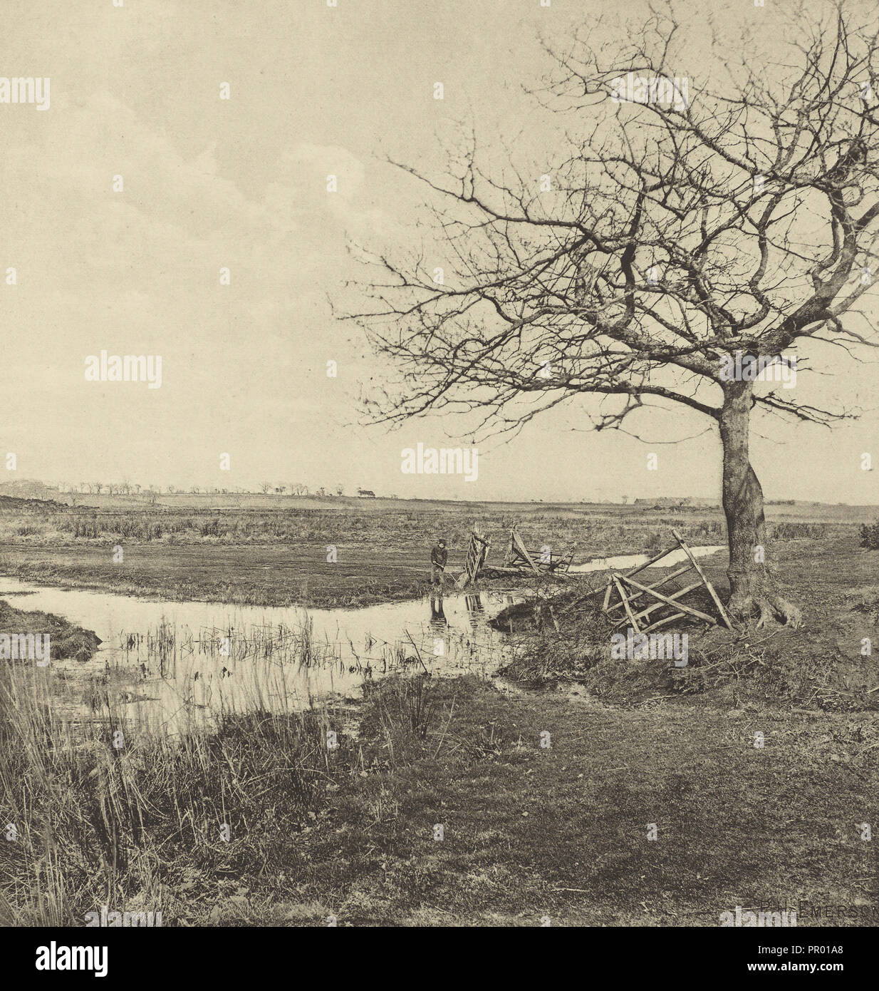 Mars sans feuilles. Suffolk ; Peter Henry Emerson, britannique, né à Cuba, 1856 - 1936, Londres, Angleterre ; 1888 ; 24,4 x 23,5 ; Photogravure Banque D'Images