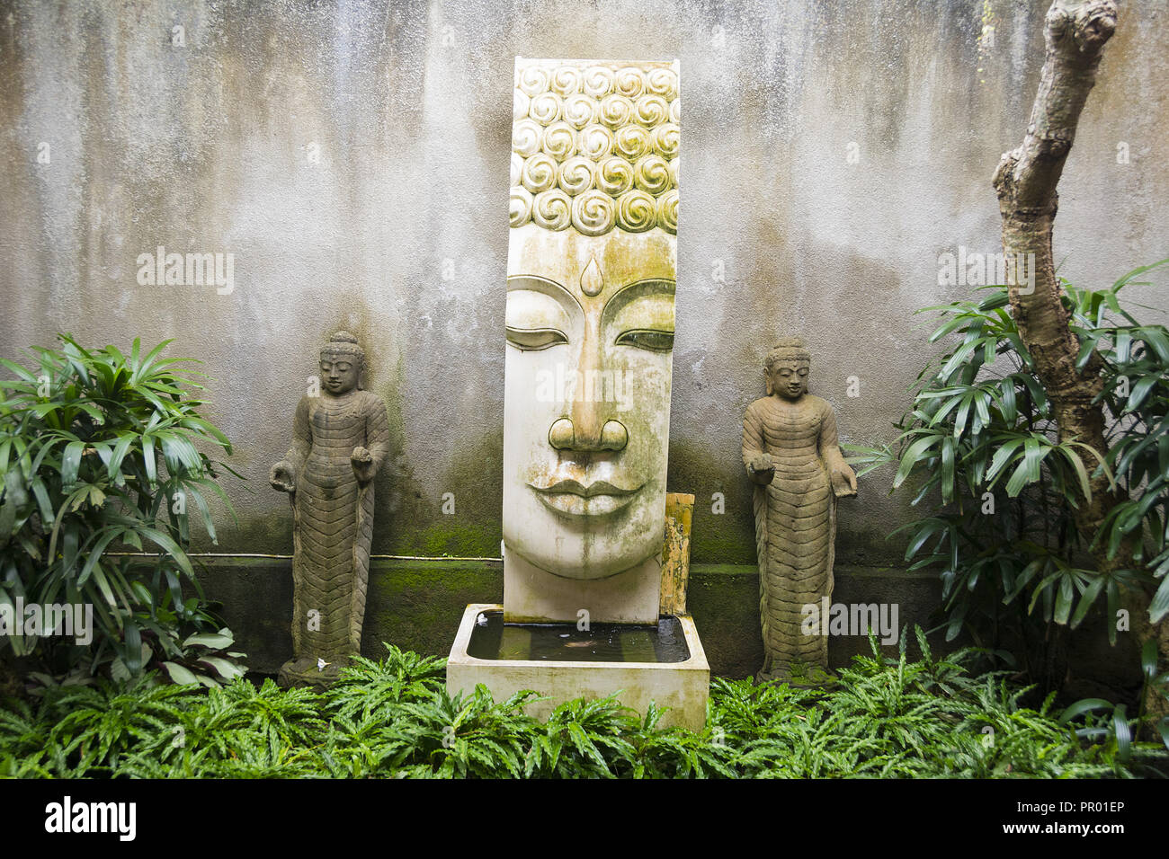 Jardin avec plan d'eau de style Bouddha et deux petites statues de Bouddhas féminins. Banque D'Images