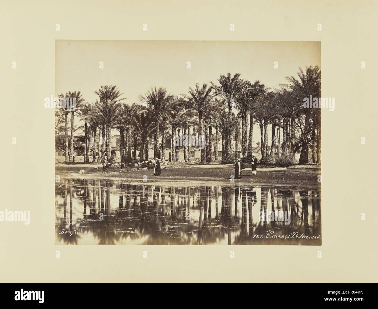 Caire, palmiers ; Félix Bonfils, Français, 1831 - 1885, 1870 ; à l'albumine argentique Banque D'Images