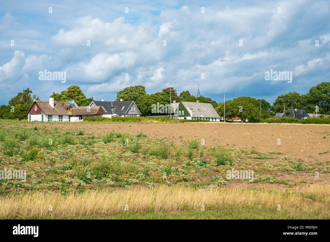 Vue du village de Nyord sur île Nyord, Danemark, Scandinavie, l'Europe. Banque D'Images