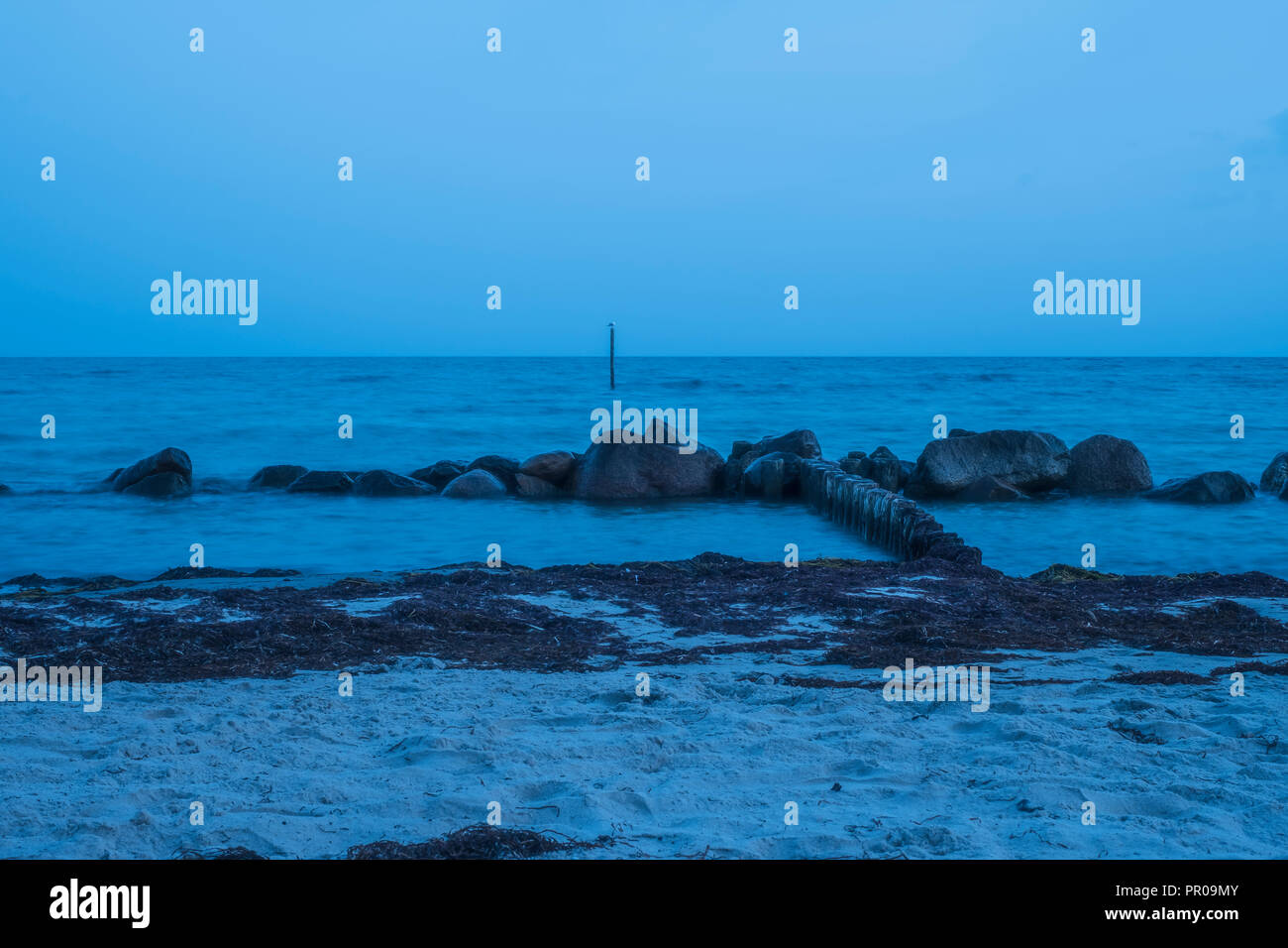 Des pierres sur la rive dans l'eau laiteuse bleuté après le coucher du soleil au cours de l'heure bleue à Rabylille Beach, à l'île de Moen, Danemark, Scandinavie, l'Europe. Banque D'Images