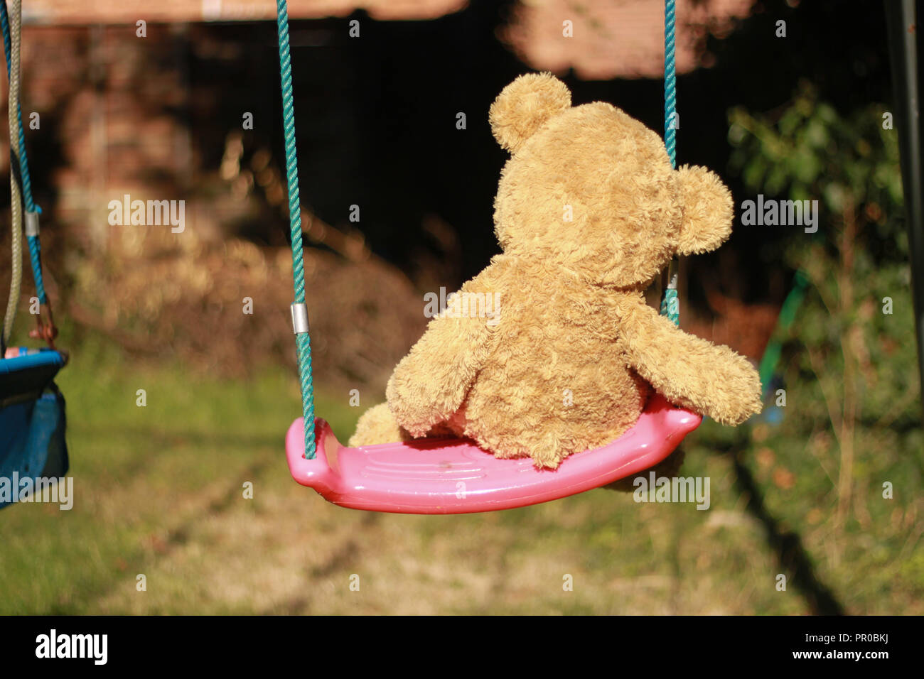 Vue arrière d'un ours sur une balançoire dans un jardin sur une journée ensoleillée Banque D'Images