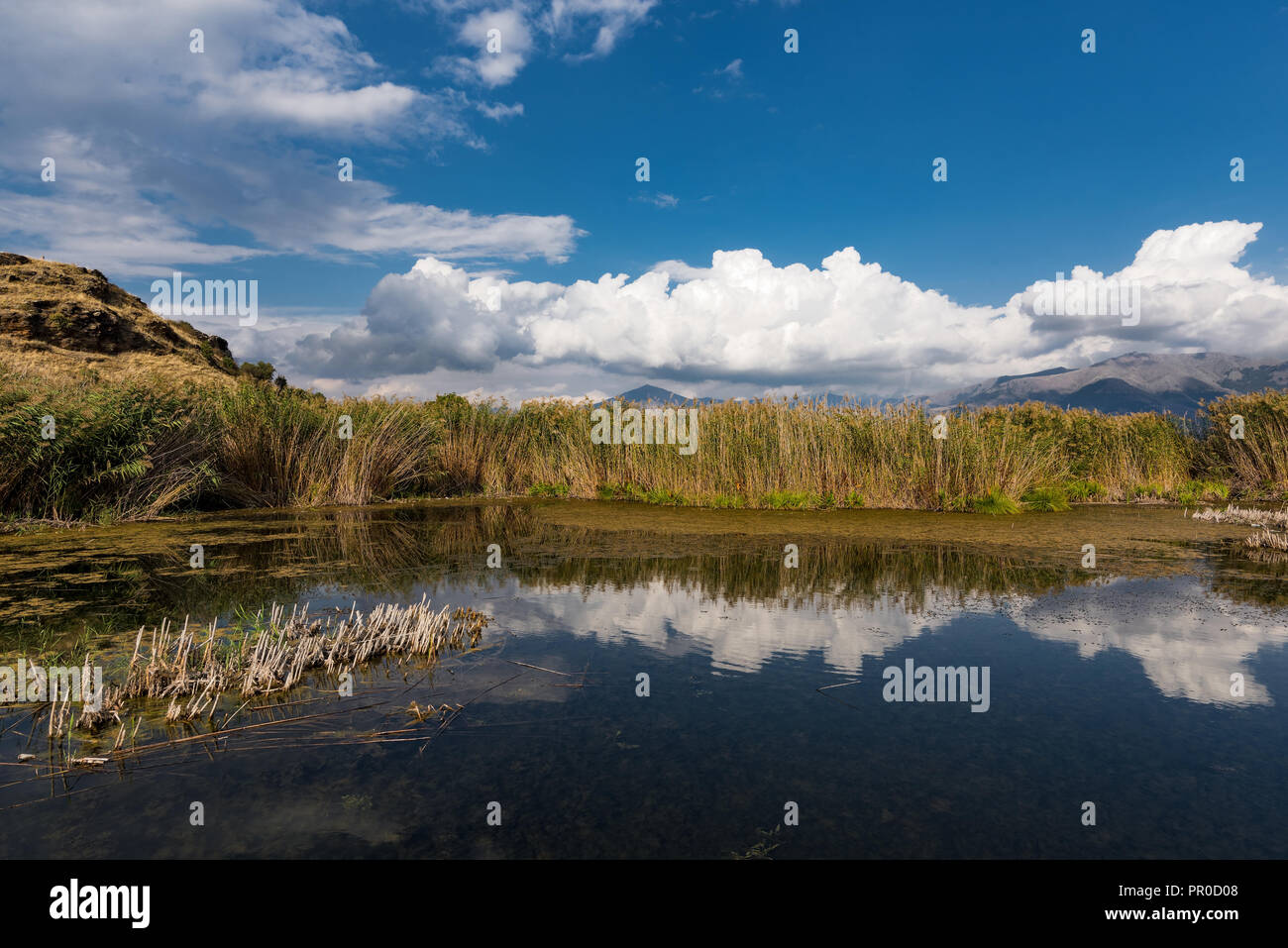 Vue de la rive de l'Mikri Prespa (petites) Lake dans le nord de la Grèce Banque D'Images