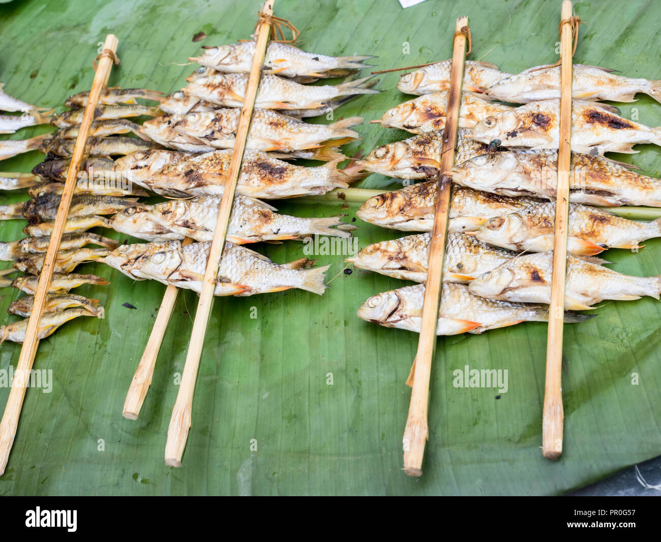 Les poissons de rivière grillés d'un marché en plein air, Nong Khiaw, Laos, Indochine, Asie du Sud-Est, l'Asie Banque D'Images