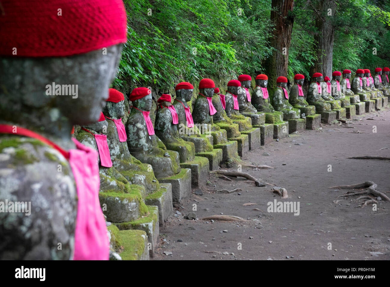 Statues Jizo, Kanmangafuchi Abyss, Nikko, Japon, Asie Banque D'Images