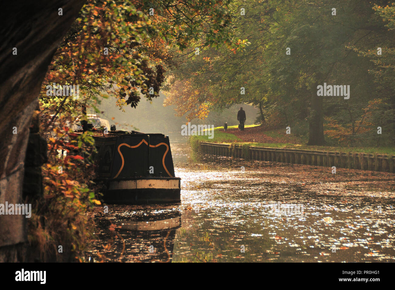 Autour du Royaume-Uni - un homme et son chien marchant le long du canal Liverpool de Leeds en automne Banque D'Images