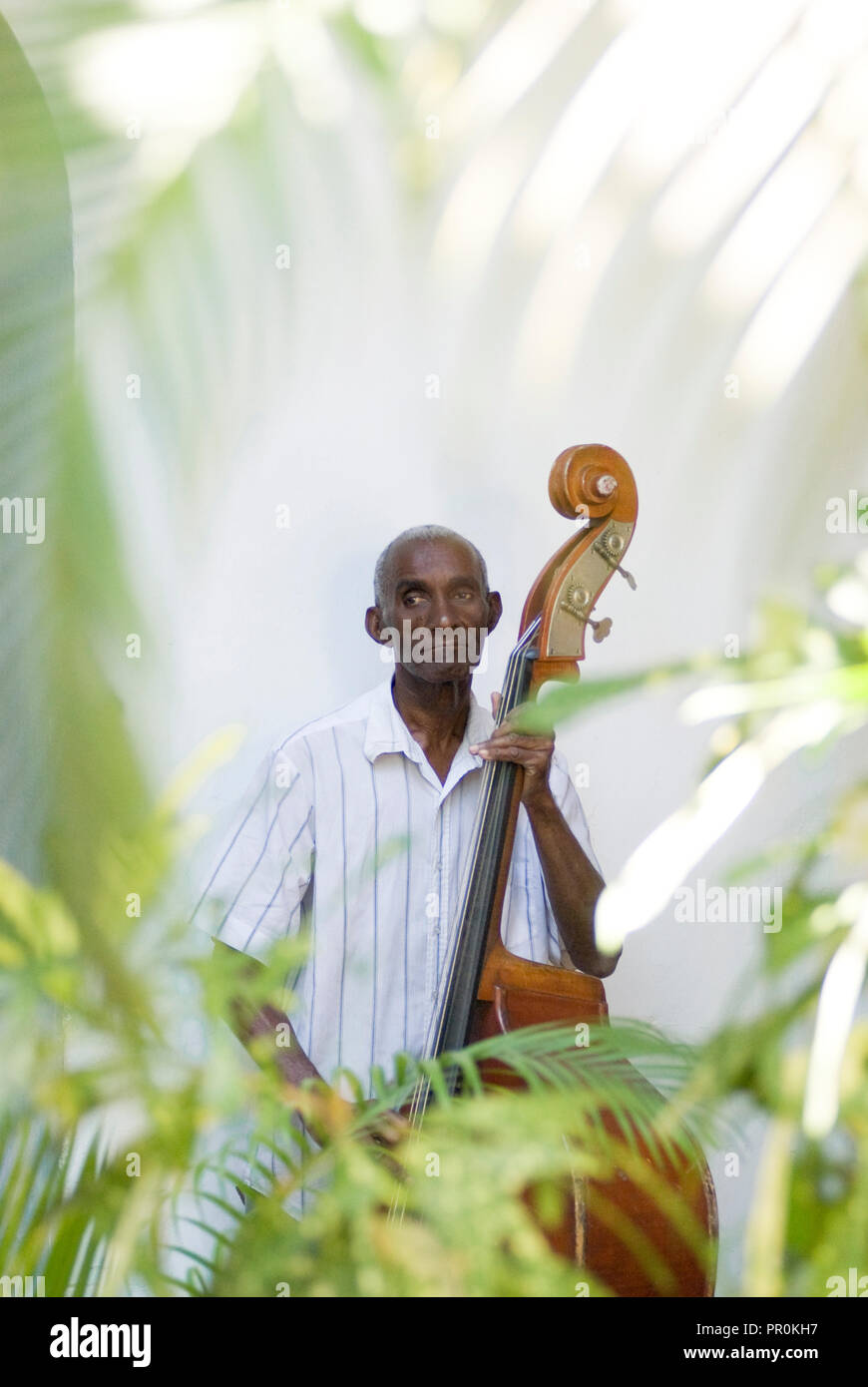Ancien musicien violoncelle jouant son instrument dans un jardin à Cuba Caraïbes du Nord Banque D'Images