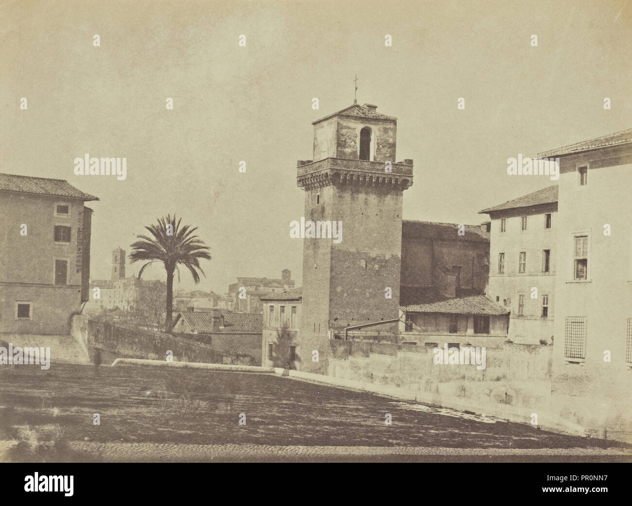 Palmier de St Pietro Vinculo sic, Rome ; Mme Jane St. John (1803 - 1882, Rome, Italie, 1856 - 1859 ; Albumen Banque D'Images