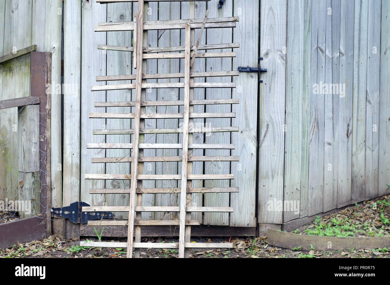 Une paire de jardin treillis en bois non utilisés appuyé contre un cèdre clôture barrière. Banque D'Images