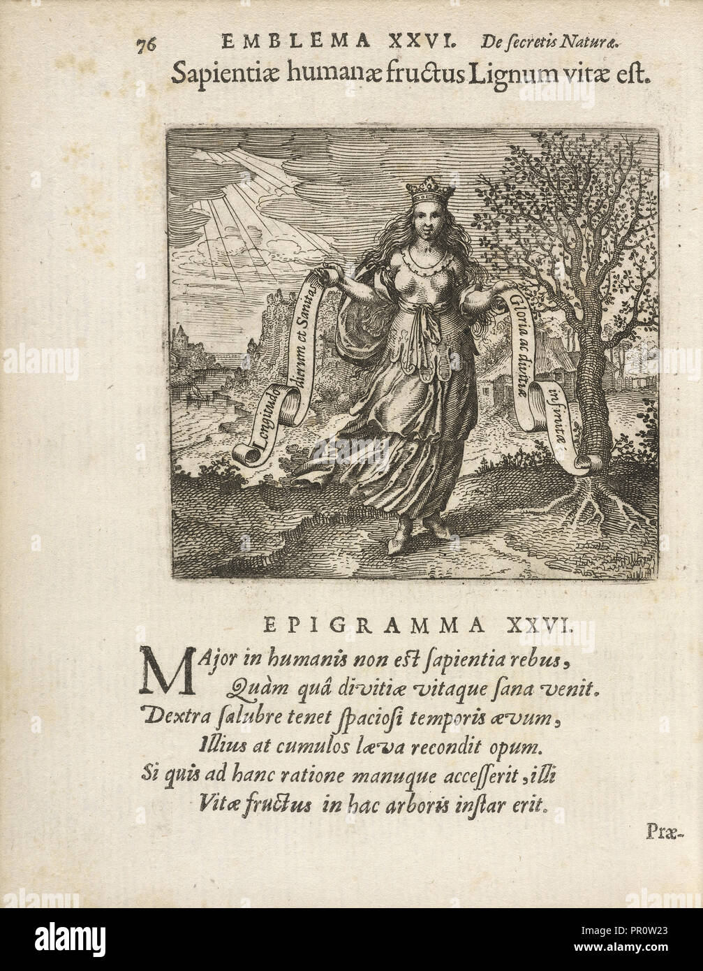 Emblema XXVI : humanae Sapientiae fructus Lignum vitae est. Majeri Secretioris Michaelis, secretorum naturae scrutinium chymicum Banque D'Images