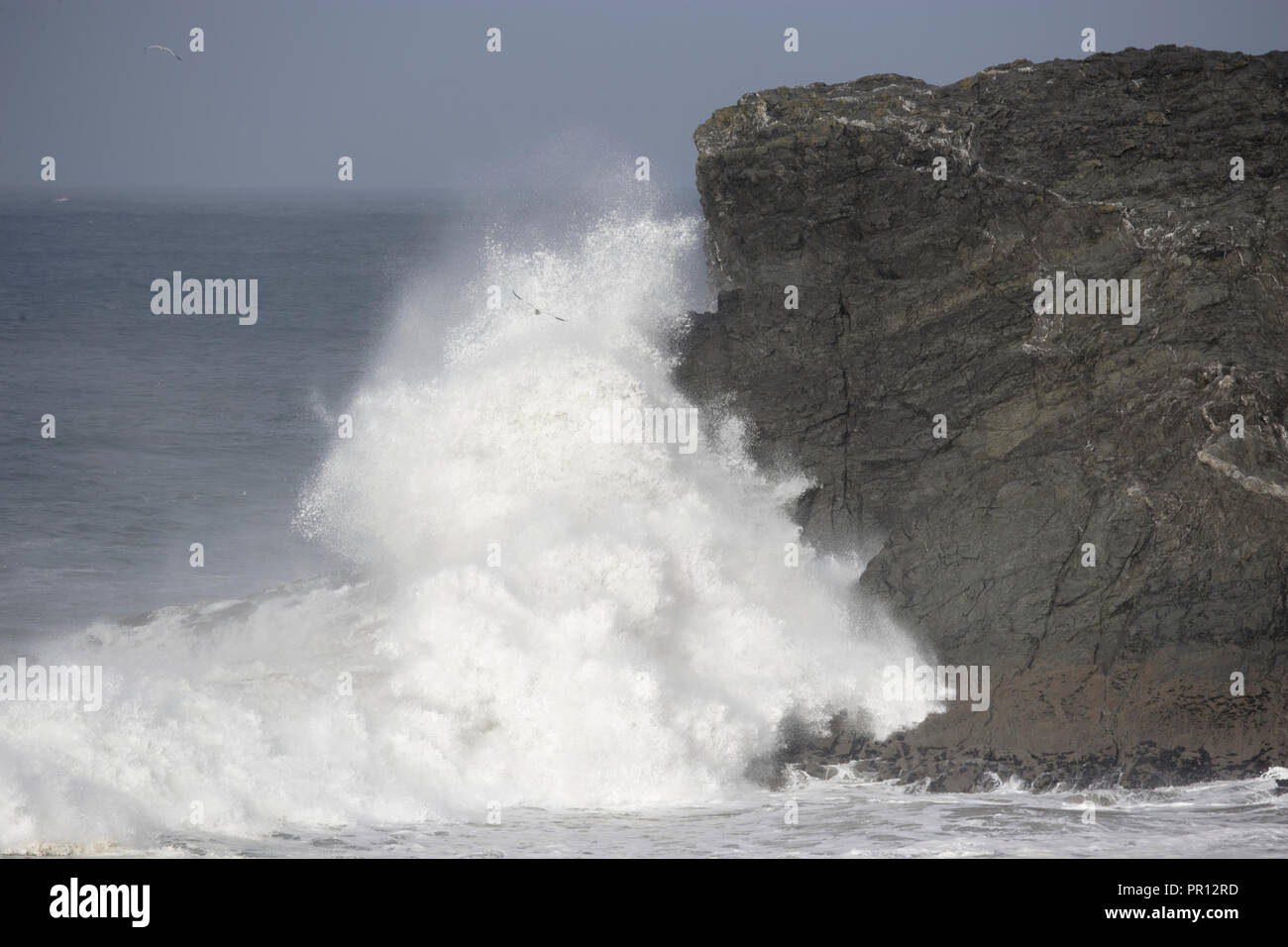 Les ondes de tempête d'engloutir l'Île Porth Newquay Cornwall UK. Banque D'Images